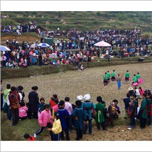 水族端节：浓郁民族年节 世界最长的节日