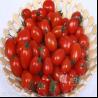 顶级红圣女果2斤装 小西红柿