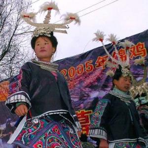 黔东南苗族的锦鸡文化